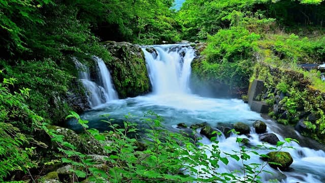 First Love Falls - Image 1