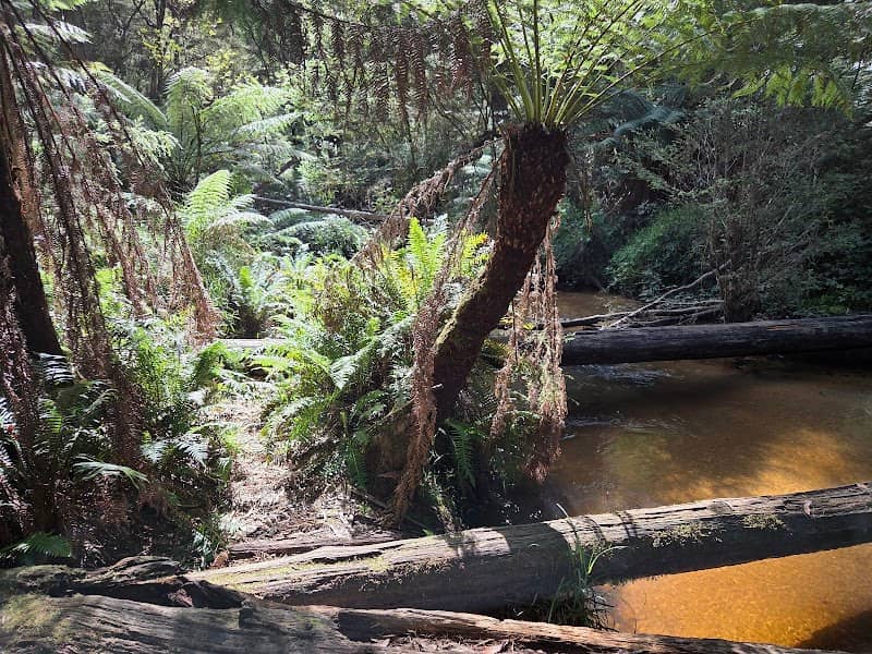 Latrobe River - Image 1