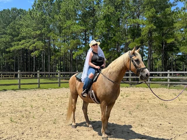 Horse Play Farms - Image 1
