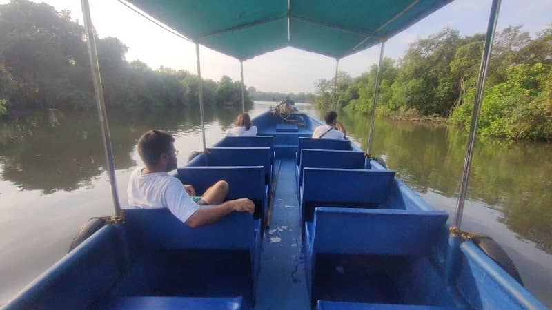 Claws & Jaws Birding And Crocodile Sighting, Mangrove Boating Safari - Image 1