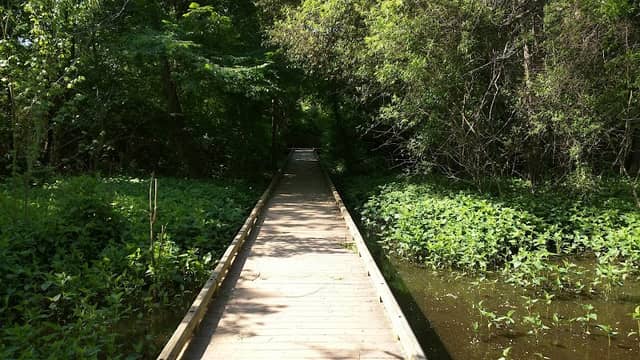 Reed Creek Nature Park & Interpretive Center - Image 2