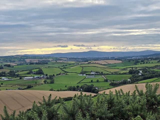 Killynether Country Park - Image 2