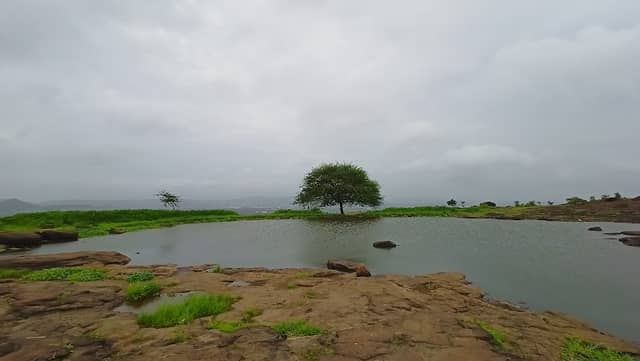 View point - Image 2
