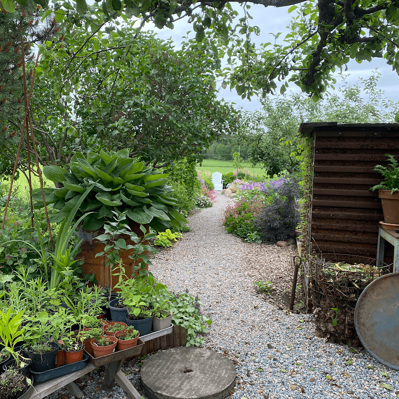 Alonsohuset - Image 1