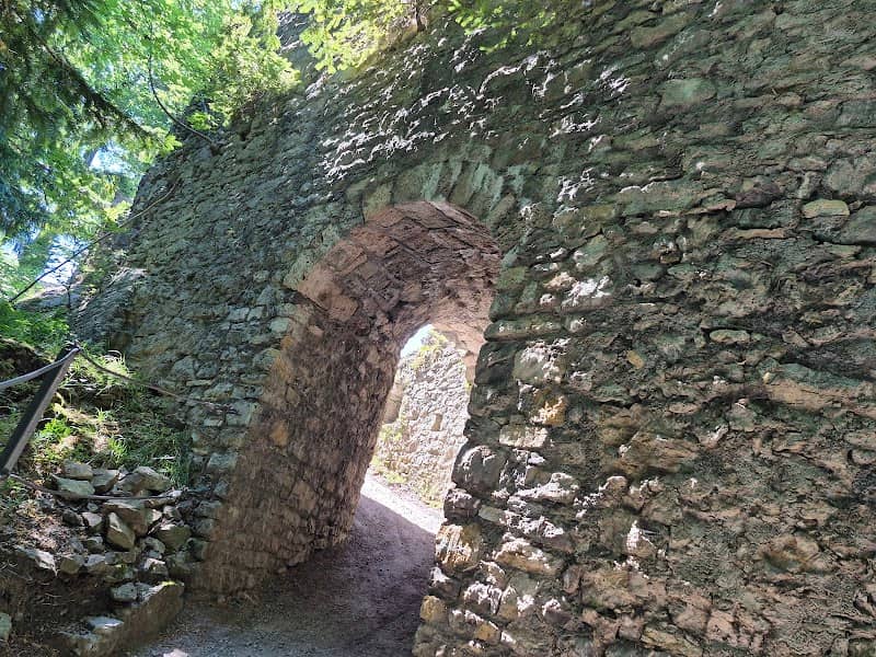 Burgruine Alt-Ems - Image 3