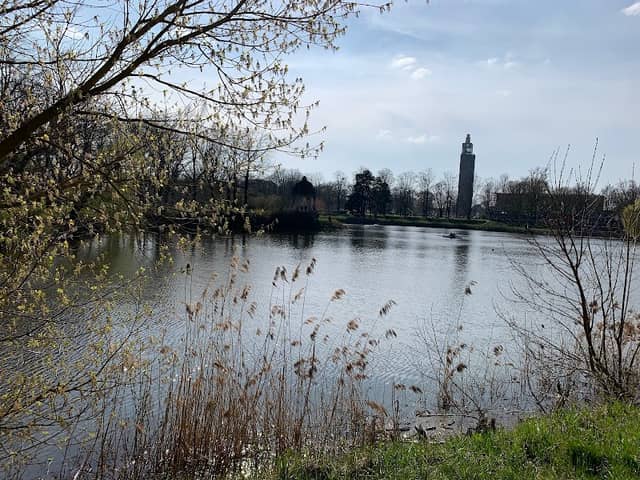 Marieninsel - Image 1