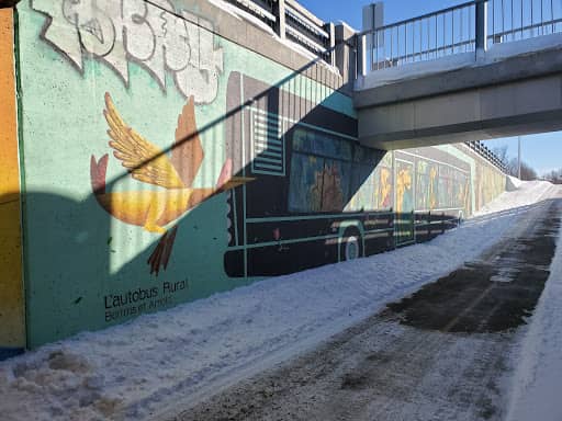 Allée de murale de Sherbrooke - Image 1