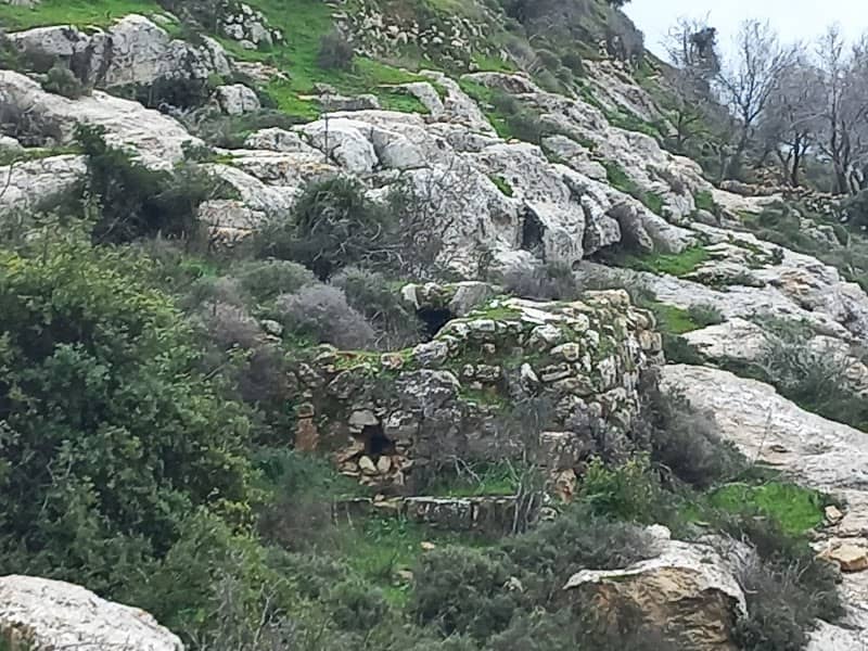 EIN AS SAWIA,BANI ALI SPRING - Image 1