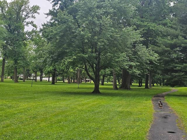 St. Ann Park - Image 1
