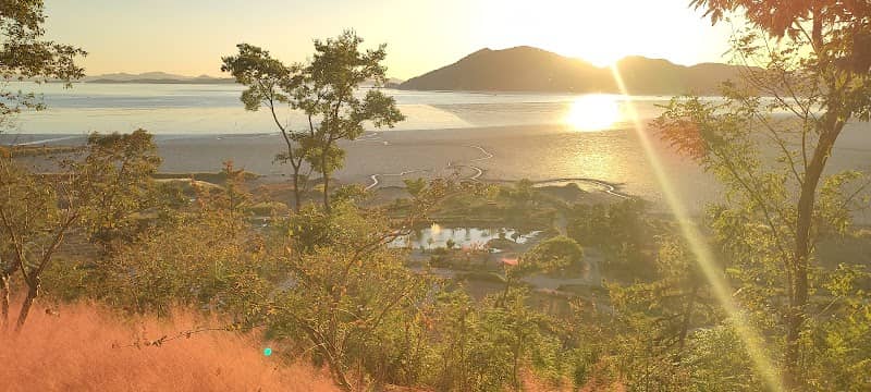 Nelsy best sunshine spot - Image 2