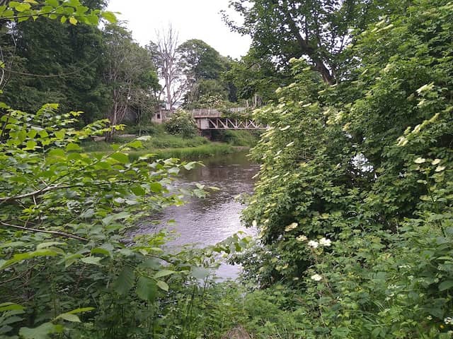 16 Grandholm Garden - Image 1