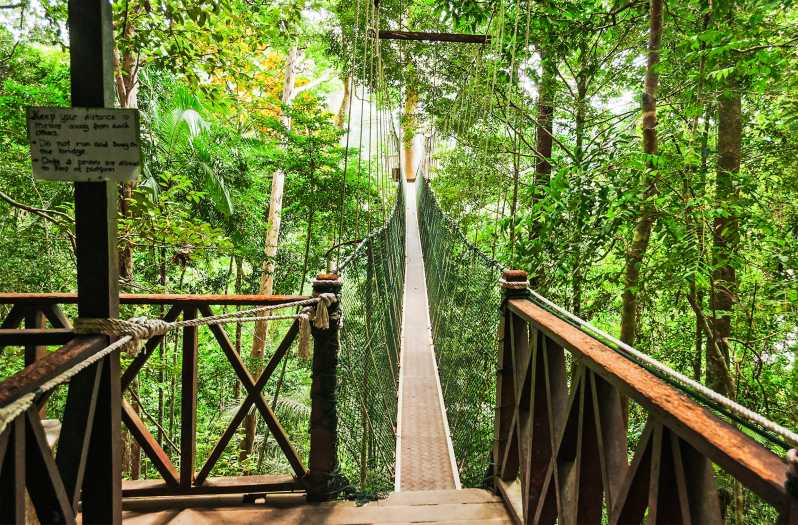Taman Negara - Image 1