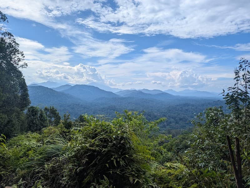 Taman Negara - Image 3