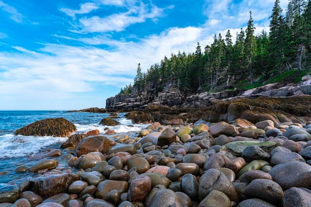 Boulder Beach - Image 1