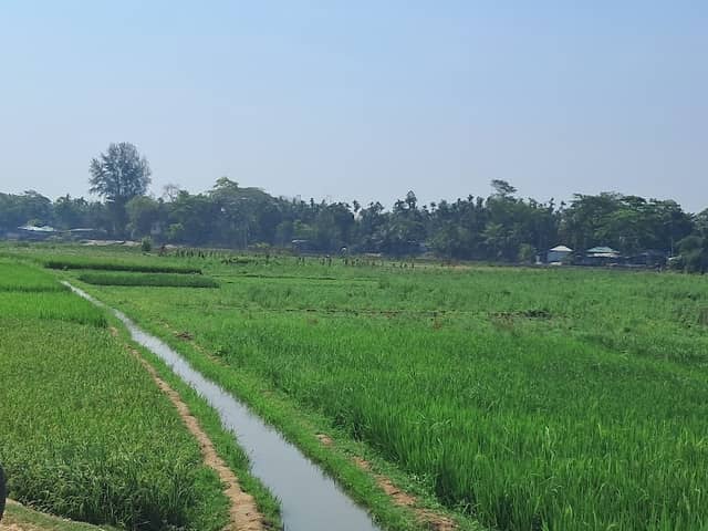 Chonkhola Bazaar Road - Image 2