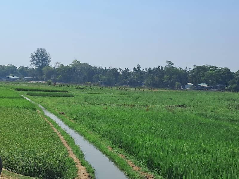 Chonkhola Bazaar Road - Image 2