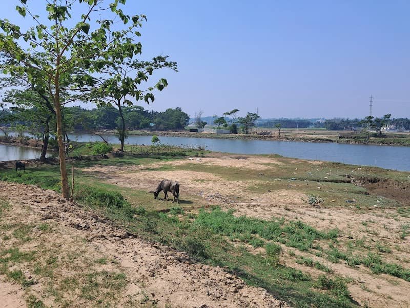 Chonkhola Bazaar Road - Image 1