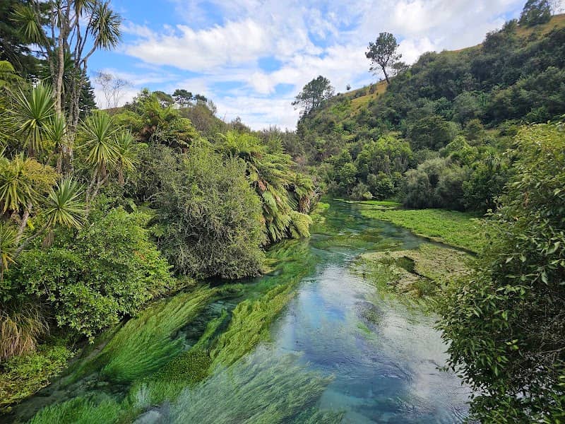 Te Waihou Blue Spring (Leslie Road entrance) - Image 1