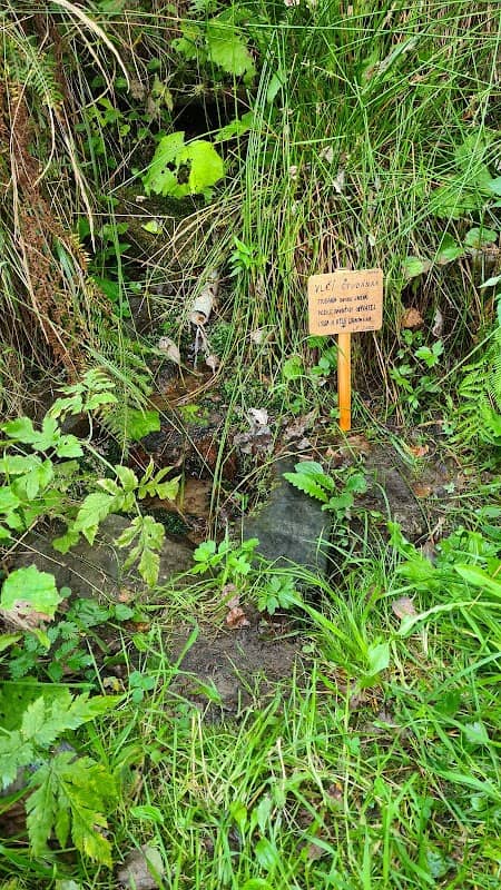 Vlčí studánka - Image 1