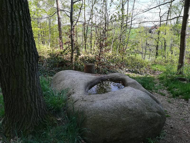 Opferstein Biesig - Image 1