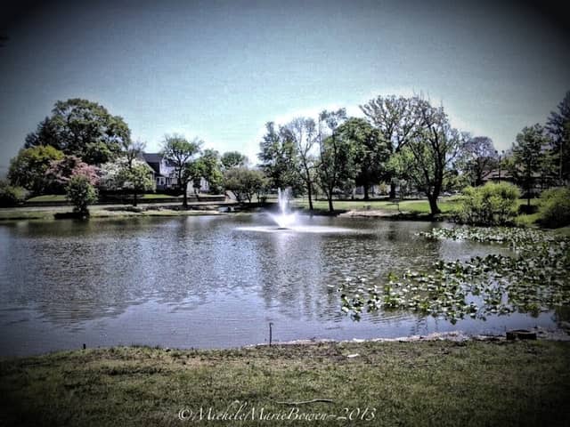Martin's Lake - Image 2