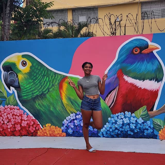 Paseo de los Colores Bonao - Image 1