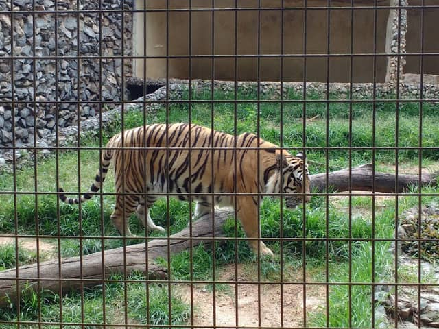 Parque Zoológico Municipal "Quinzinho de Barros" - Image 2