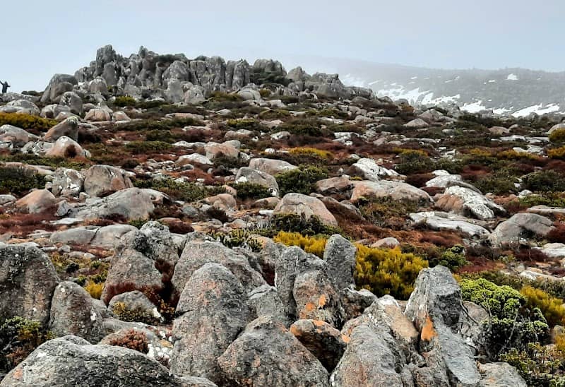 Lookout - Image 2