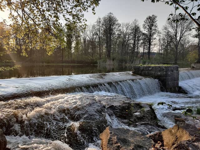 Rosenforsparken - Image 2
