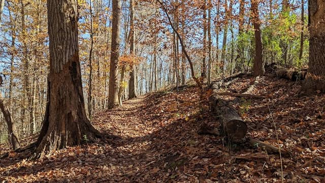 West Branch Nature Preserve - Image 1