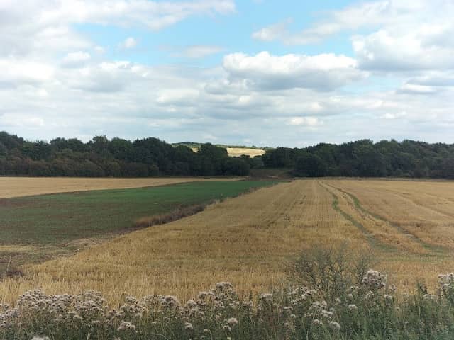 Merlin Park - Image 1