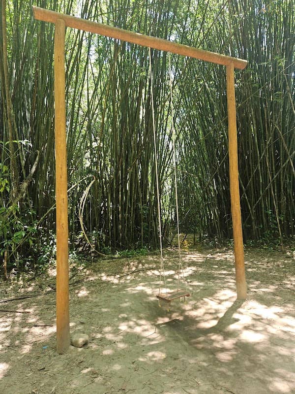 Trilha do Teiú - Image 1