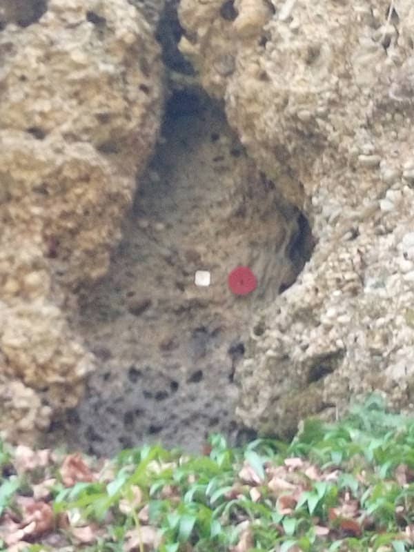 Grotta Buco Superiore di Bosco Brusa - Image 2