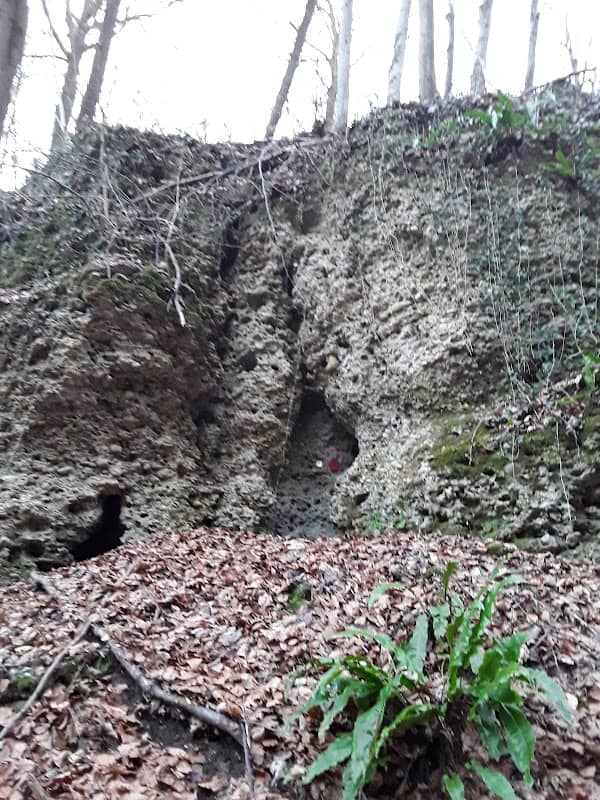 Grotta Buco Superiore di Bosco Brusa - Image 1