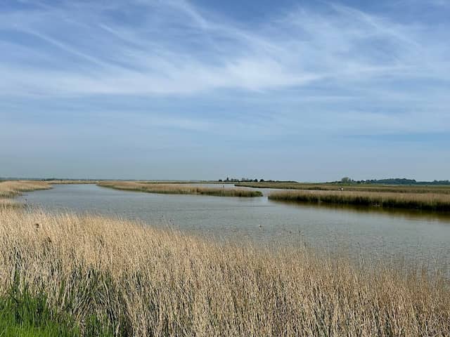 RSPB Berney Marshes - Image 3
