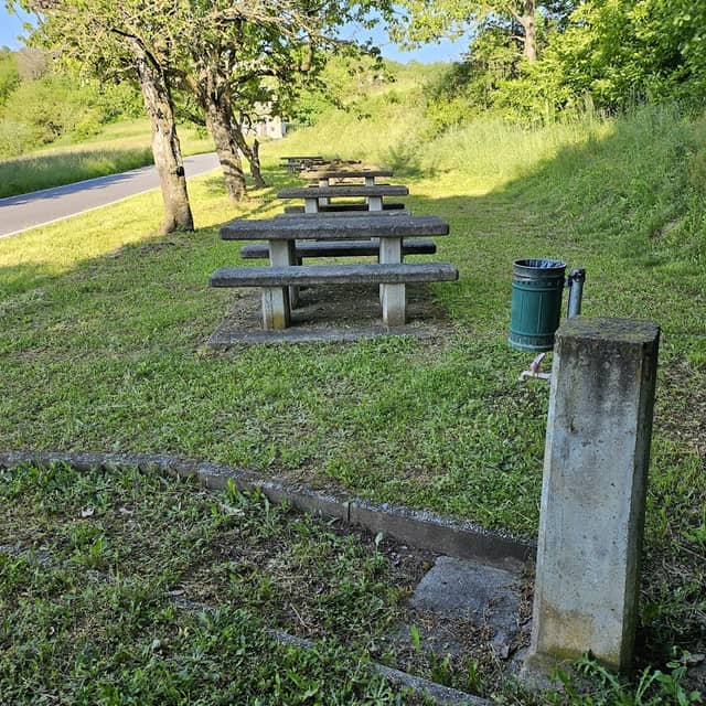 Area picnic - Image 1