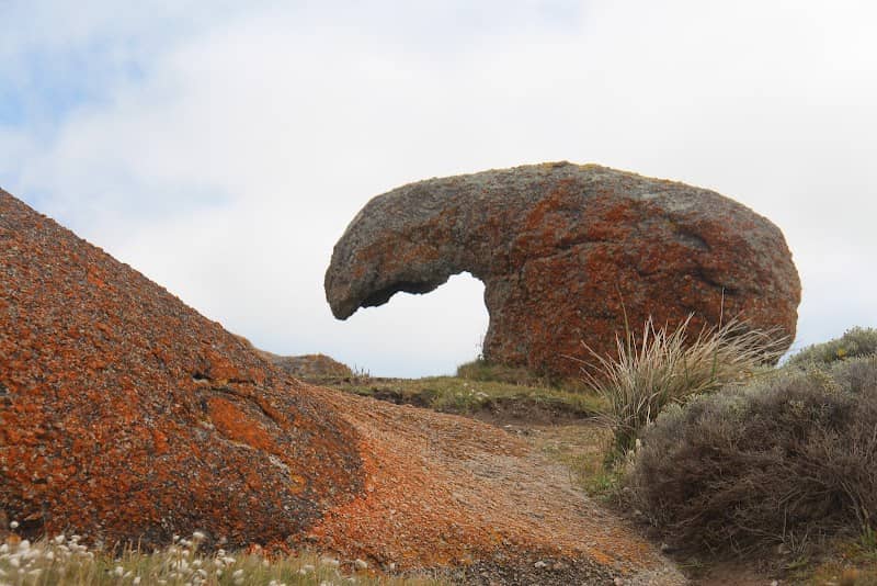 Nature's Eye - Image 2
