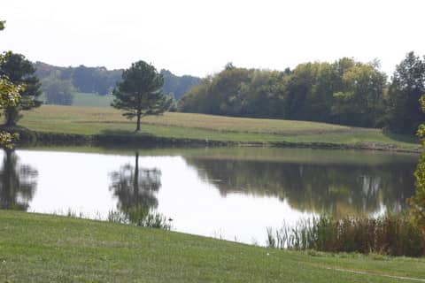 Waterloo Park District - Image 1