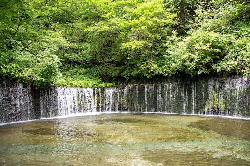 Shiraitonotaki (Shiraito Waterfall) - Image 2