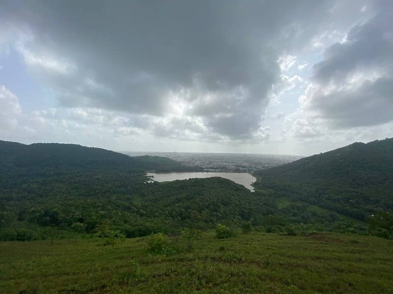One Tree Hill Point - Image 1