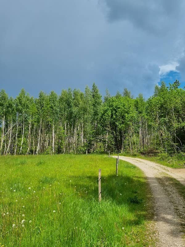 Dageløkke forest - Image 2