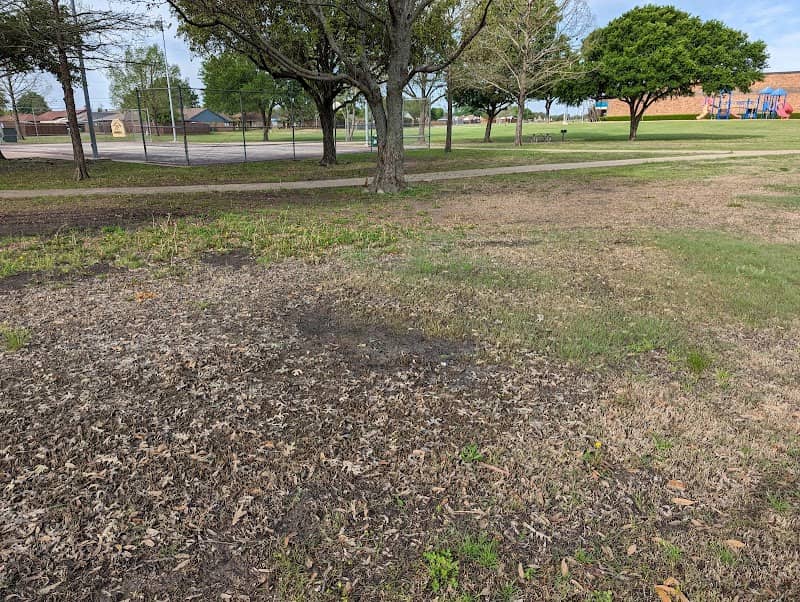 Austin School Park - Image 1
