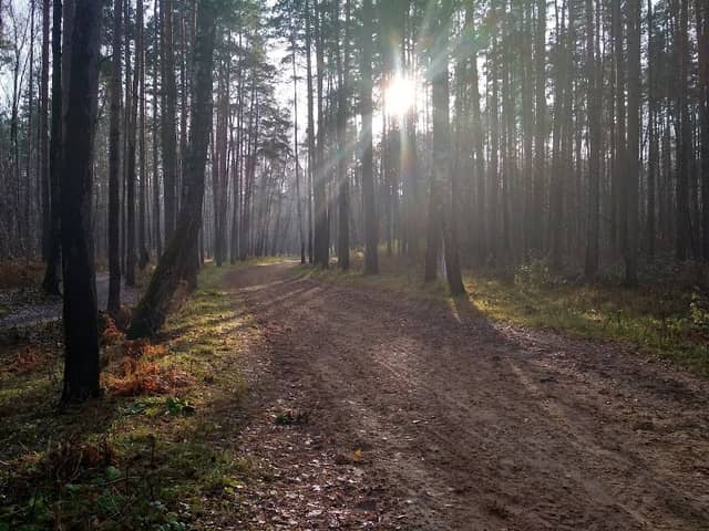Park "Belaya Dacha" - Image 1