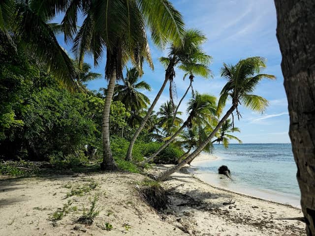 Isla Saona - Image 1