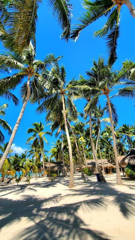 Isla Saona - Image 2