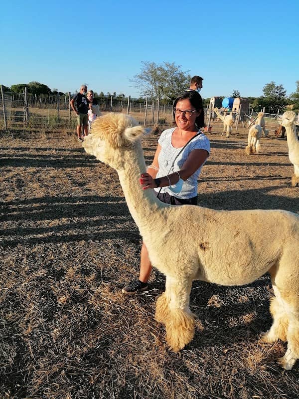 Albus Alpaca - Image 2