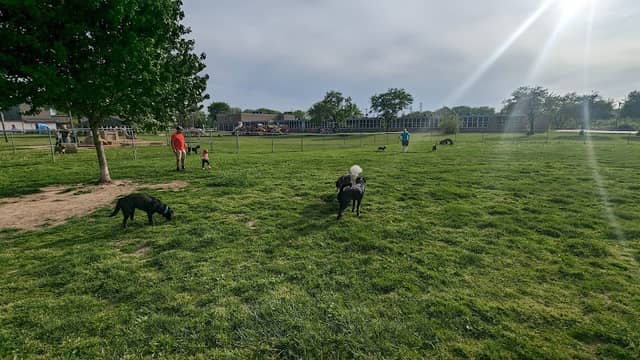 Decker Park - Image 2