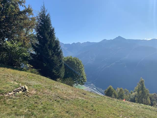 Monti di Sauru - Image 1