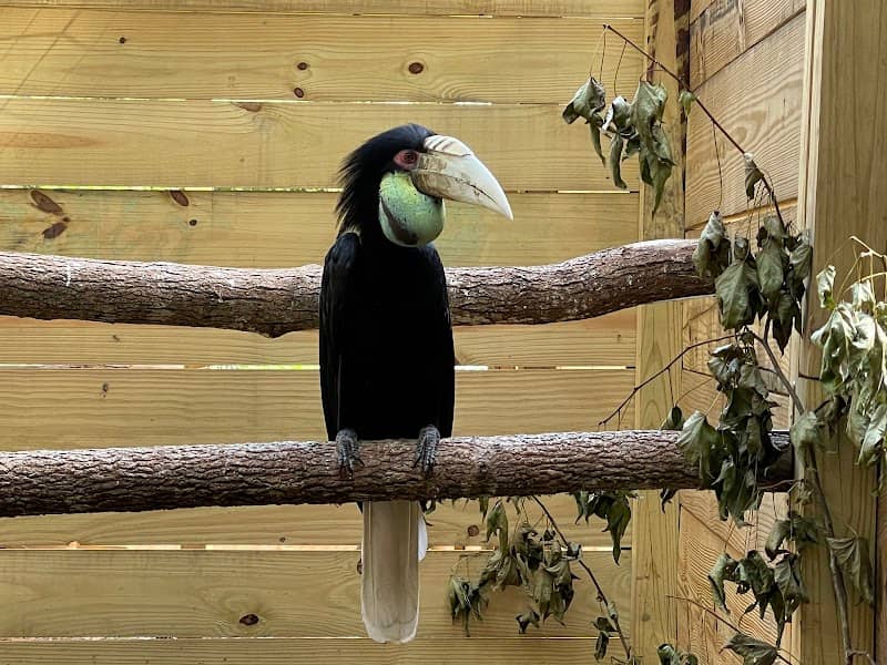 North Florida Wildlife Center - Image 3