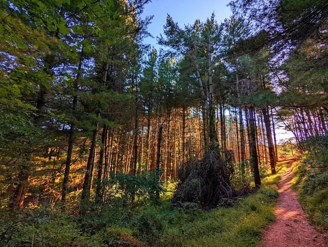 Union Mills Recreation Area - Image 2